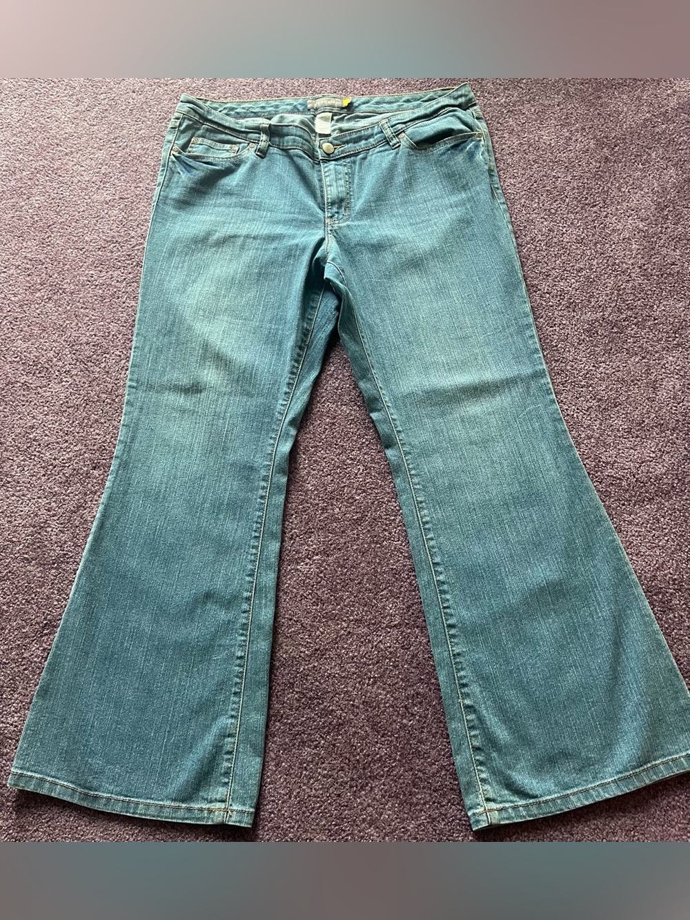 Venezia jeans by Lane Bryant. Like new size 3 Petite.